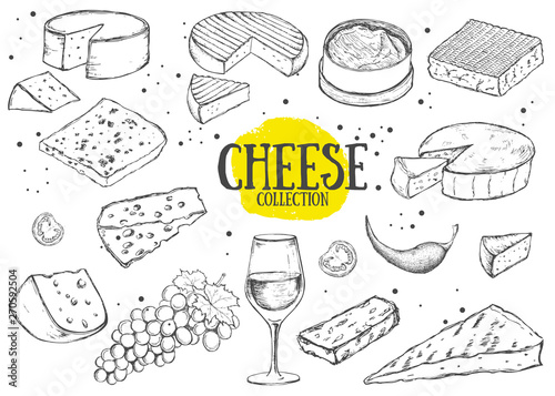 Cheese collection. Hand drawn illustration