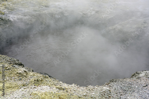 Geothermal craters in the forest in the Waiotapu area of the Taupo Volcanic Zone in New Zealand