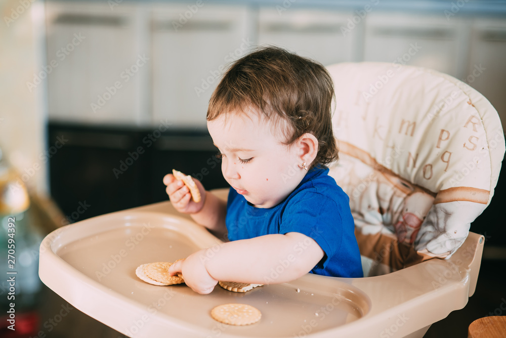 Little girl in a high chair eating round biscuits Little girl in a high chair eating round biscuits