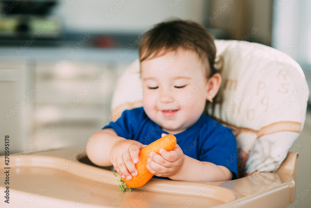 Little girl child in a high chair eating a carrot in the afternoon in the kitchen Little girl child in a high chair eating a carrot in the afternoon in the kitchen
