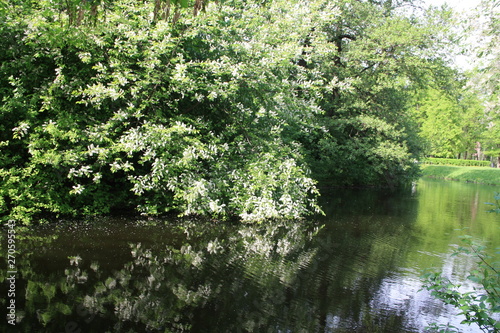 city park