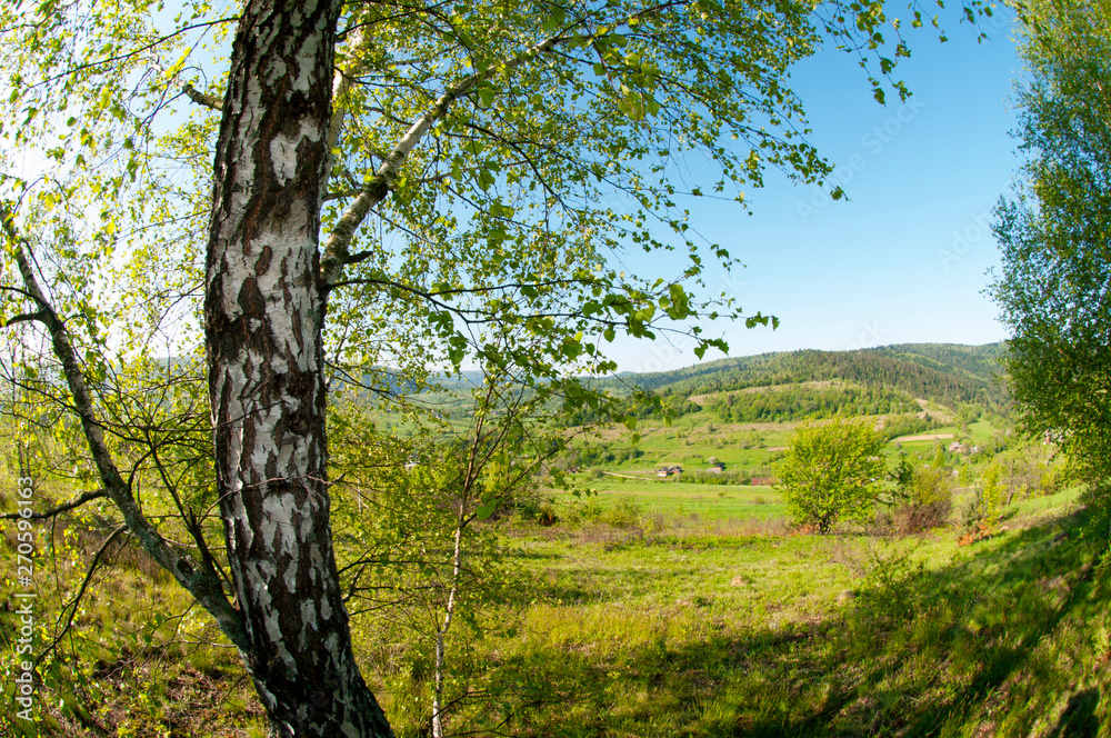 beautiful mountain valleys and mountains on a bright sunny day on the background of a wide valley