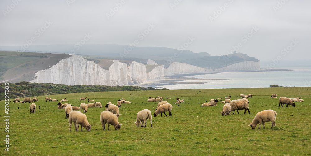 Seven Sisters National park, white cliffs, East Sussex, England