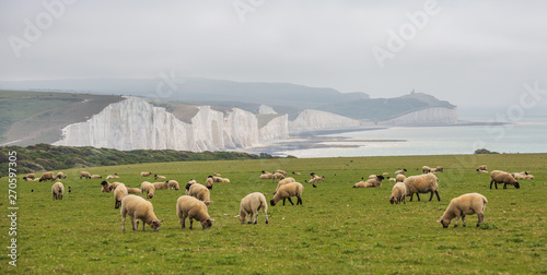 фотографія Seven Sisters National park, white cliffs, East Sussex, England