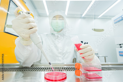 Canvas Print A scientist seeding cells and pipetting growth medium into petri dish and flasks for cell culture assay in biological cabinet (BSC)