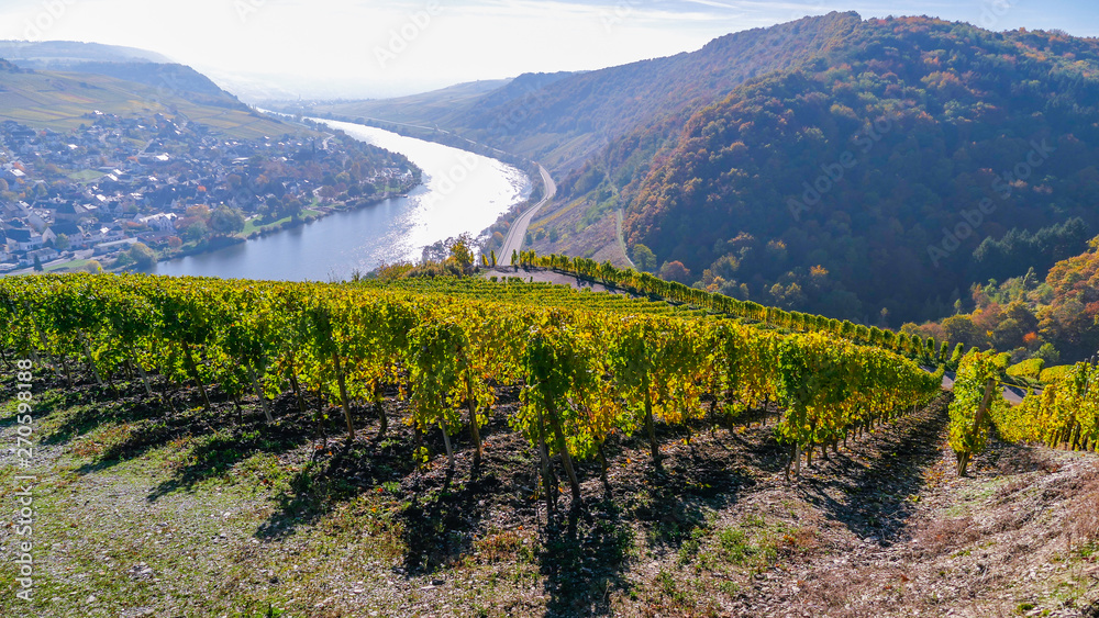 mosel river