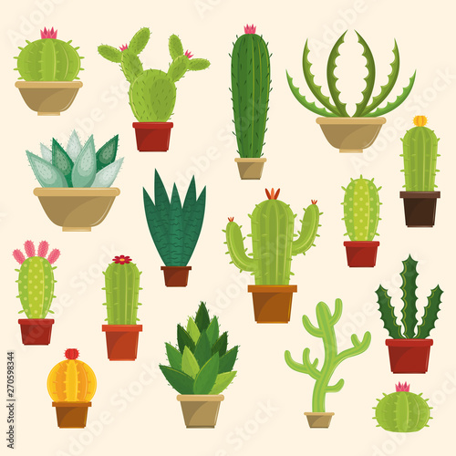 Cactus succulents pots set of icons
