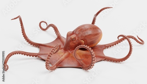 Realistic 3D Render of Giant Pacific Octopus photo