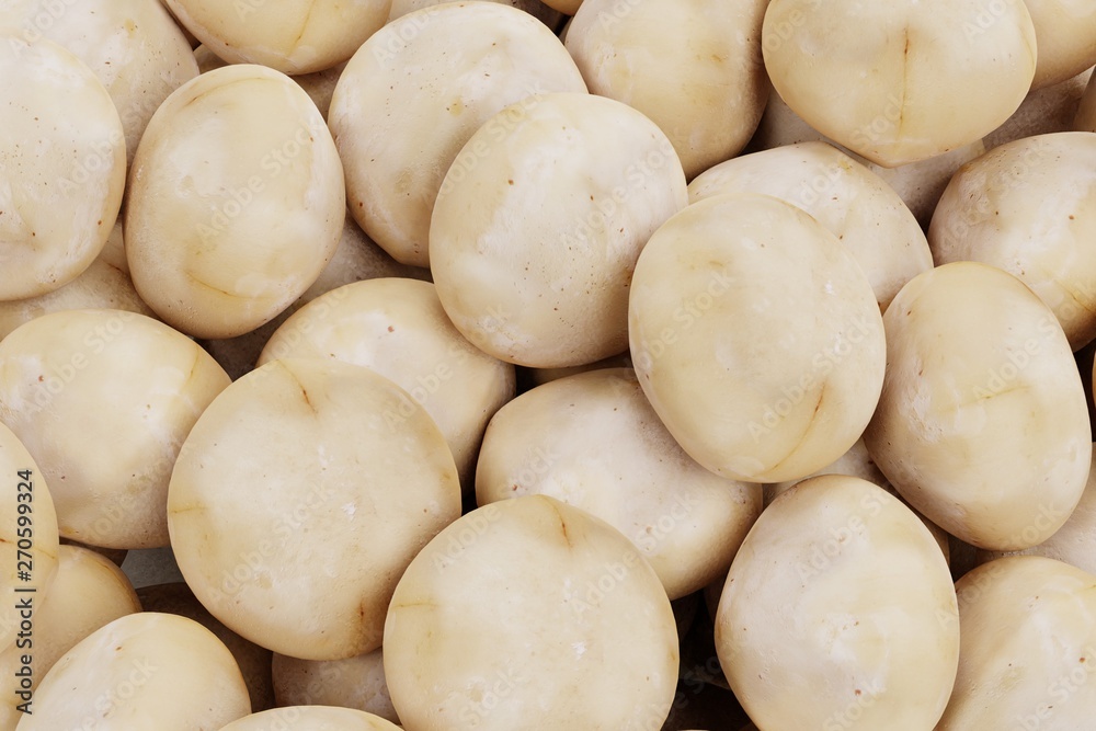 Realistic 3D Render of Macadamia Nuts Realistic 3D Render of Macadamia Nuts
