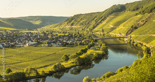 wineyards in mosel valley © fabiangrafdesign