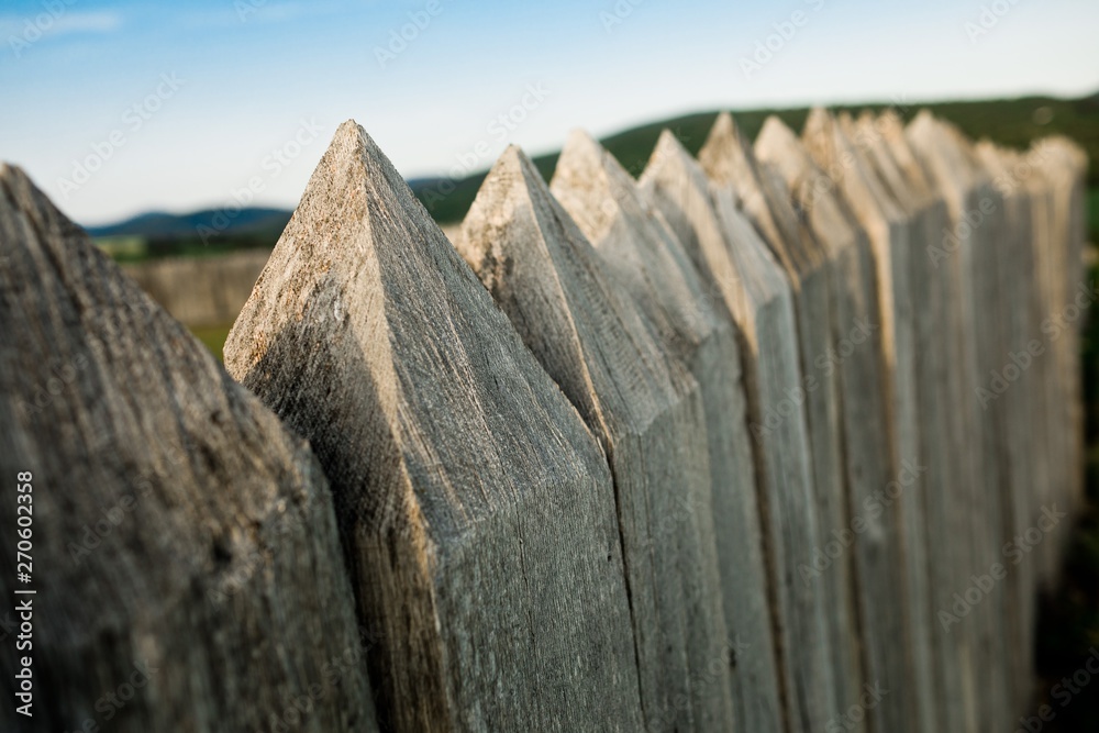 Fototapeta premium Wooden defense fence - spiked sticks