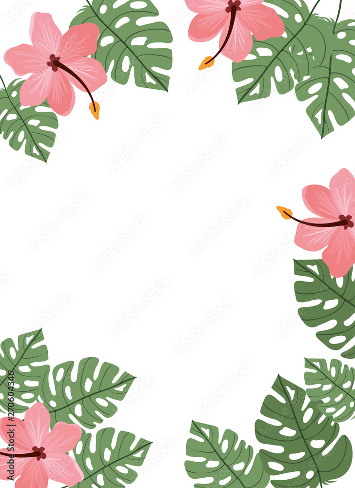 pattern with flower and leafs of summer