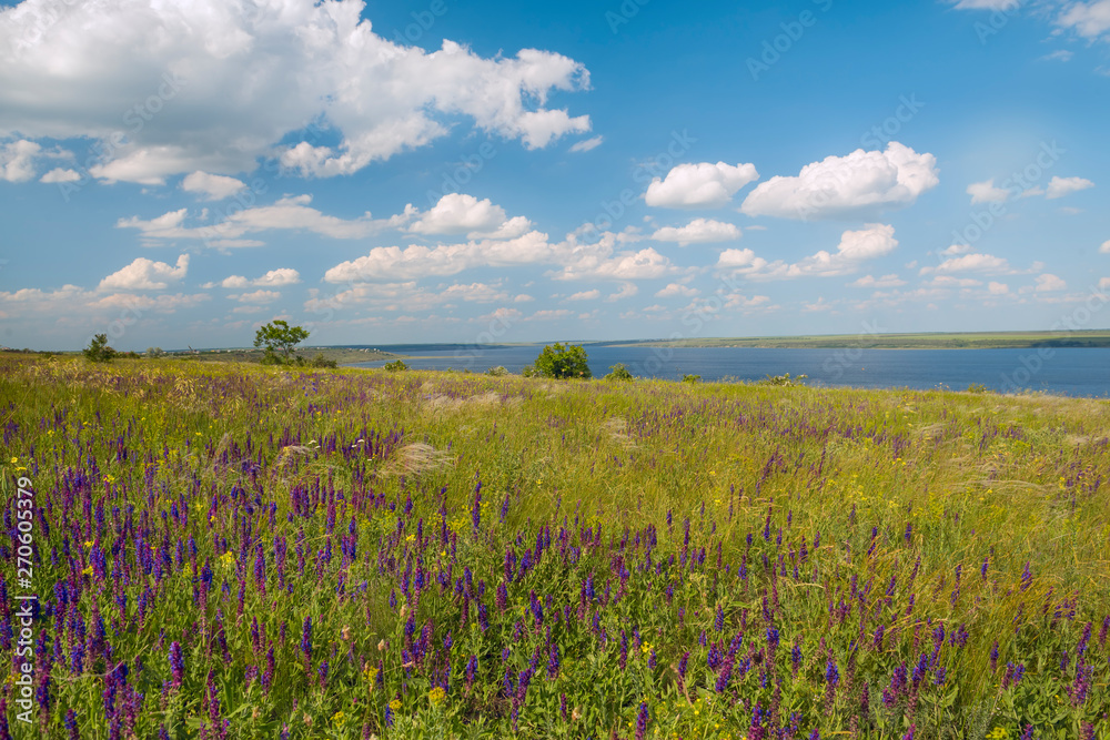 Lush flowering spring slopes on the lake. Tiligul estuary. Ukraine.