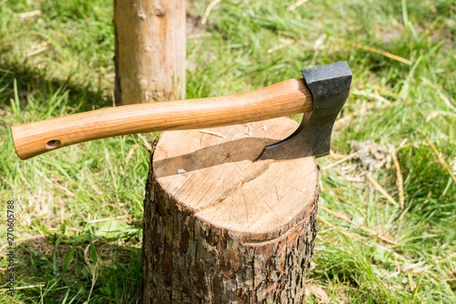axe in a tree stump