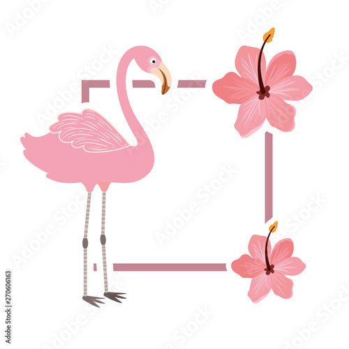 frame with flemish and summer flower in white background