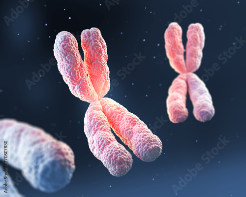 3d rendering of X chromosome Genetic medical background. photo