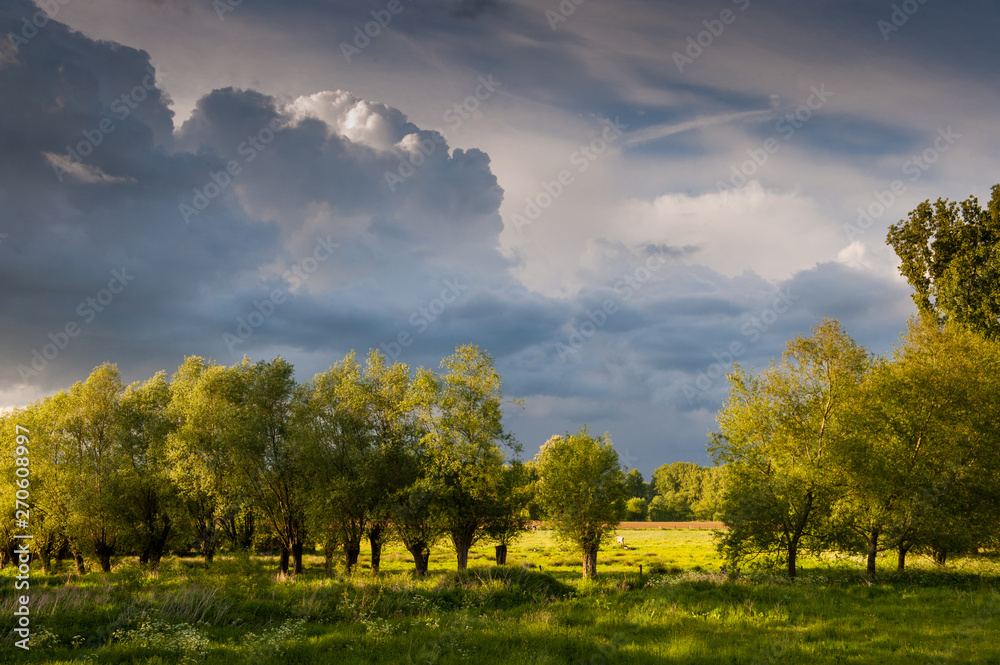 Storm clouds are rolling in over a tree-lined landscape in East Flanders, belgium