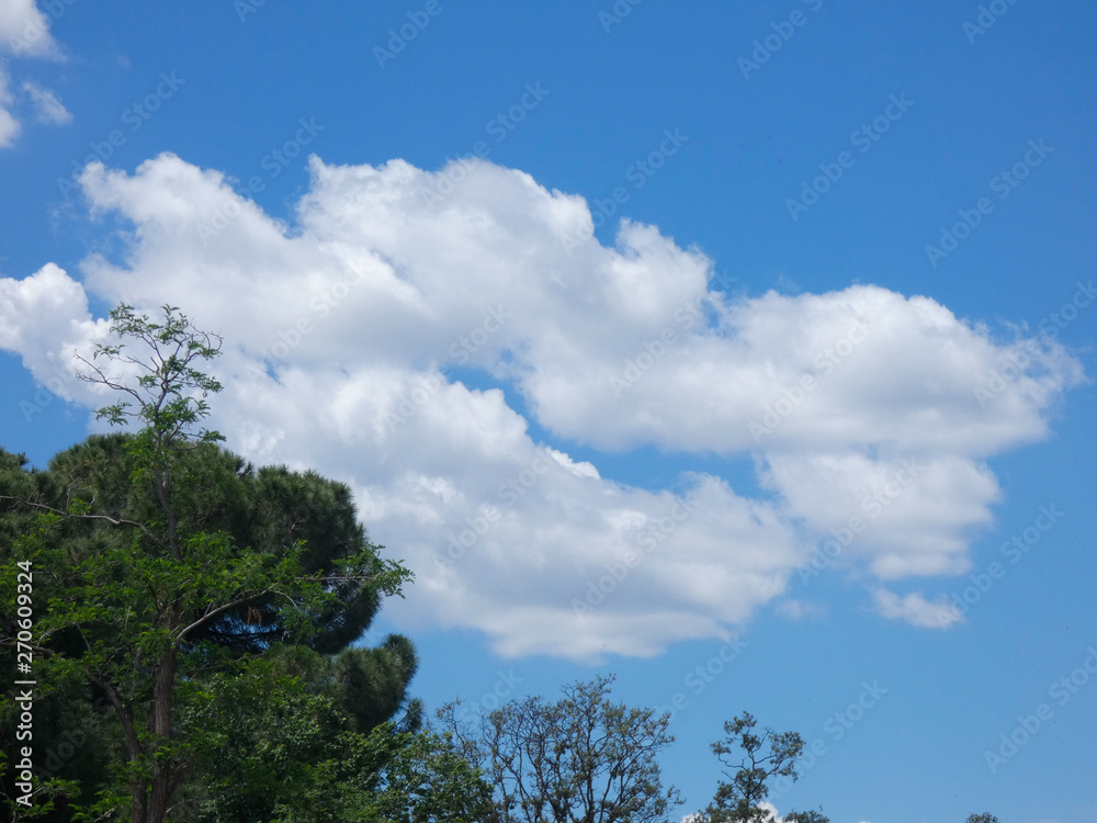 Nubes sobre Cielo azul, fotografía realizada en primavera