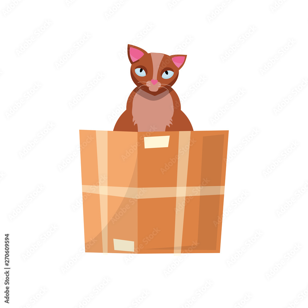 cat in the box. Cat in a cardboard box. Kitty inside carton box. Playful curious cat pet looking out of his hiding. Cartoon kitten in a box adoption Flat style vector character illustration