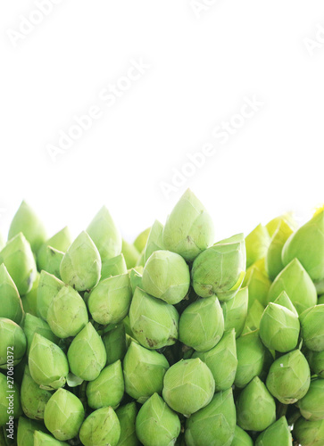 Wallpaper Mural Green lotus flower isolated on white background Torontodigital.ca