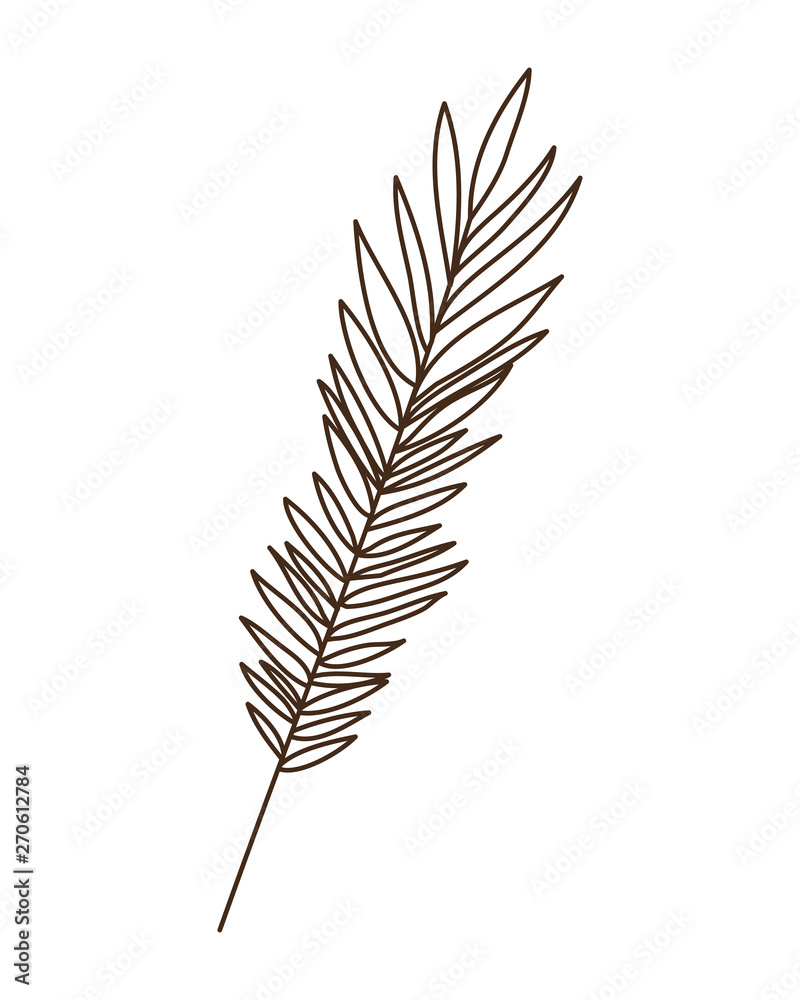 branch with leaf of summer in white background branch with leaf of summer in white background