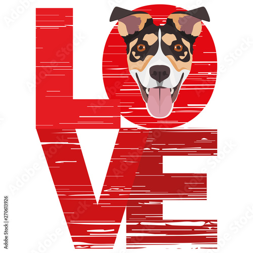 Love Jack Russell Terrier