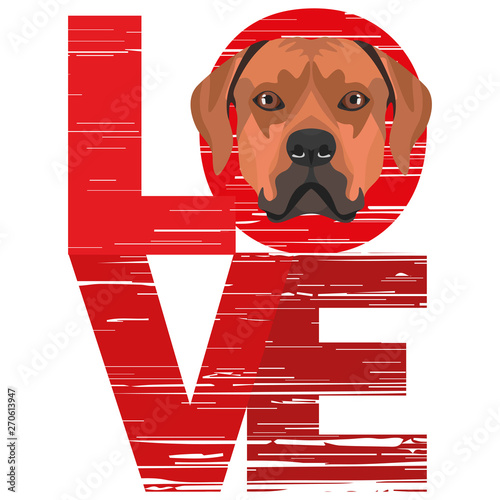 Love Rhodesian Ridgeback