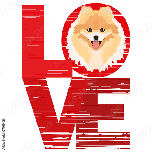 Love Chow-Chow