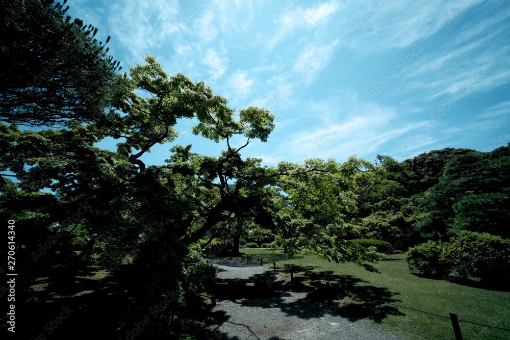 Obraz premium landscape with palm trees