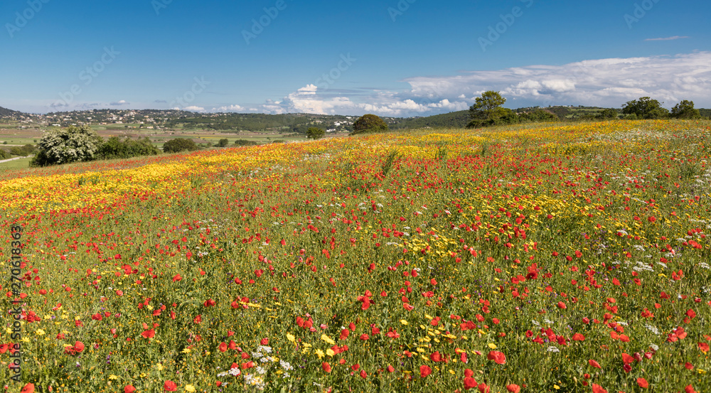 Una pradera llena de flores silvestres, amapolas y margaritas, con aspecto impresionista. un día soleado