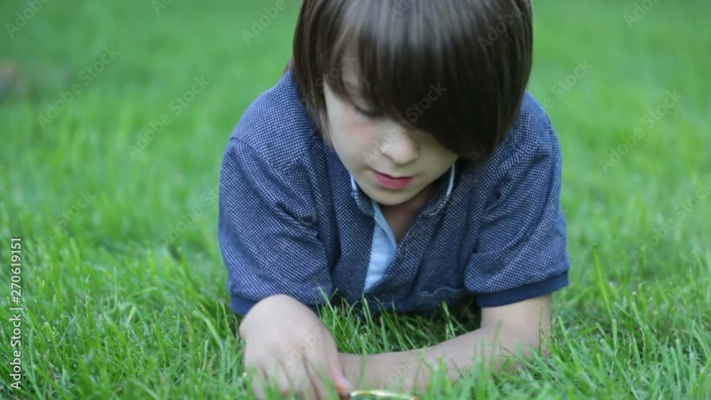 Preteen child, boy, exploring with magnifying glass, watching ladybugs in the grass Preteen child, boy, exploring with magnifying glass, watching ladybugs in the grass