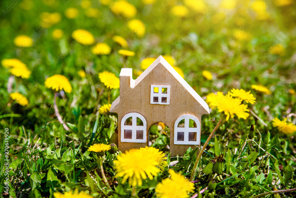 The symbol of the house stands among the yellow dandelions