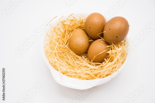 isolated egg with nest