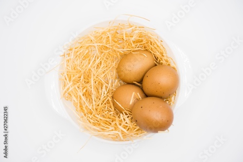 isolated egg with nest