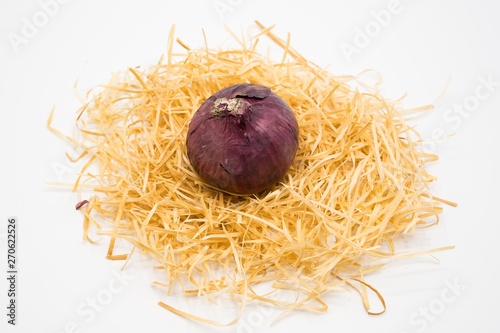 onion on the nest with isolated white background