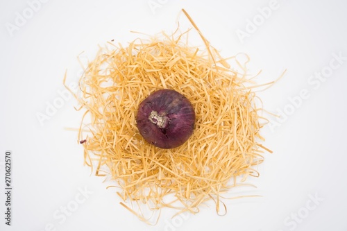 onion on the nest with isolated white background