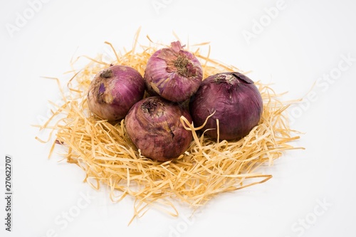 onion on the nest with isolated white background