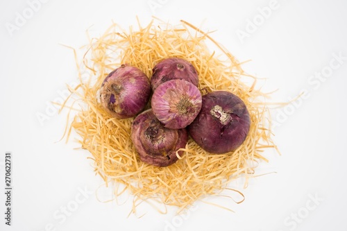 onion on the nest with isolated white background