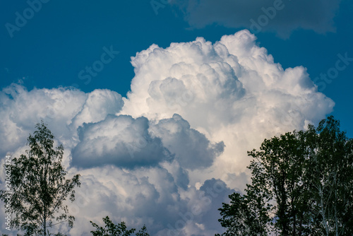 Hohe Wolken am blauen Himmel   ber dem Naturschutzgebiet Ferbitzer Bruch