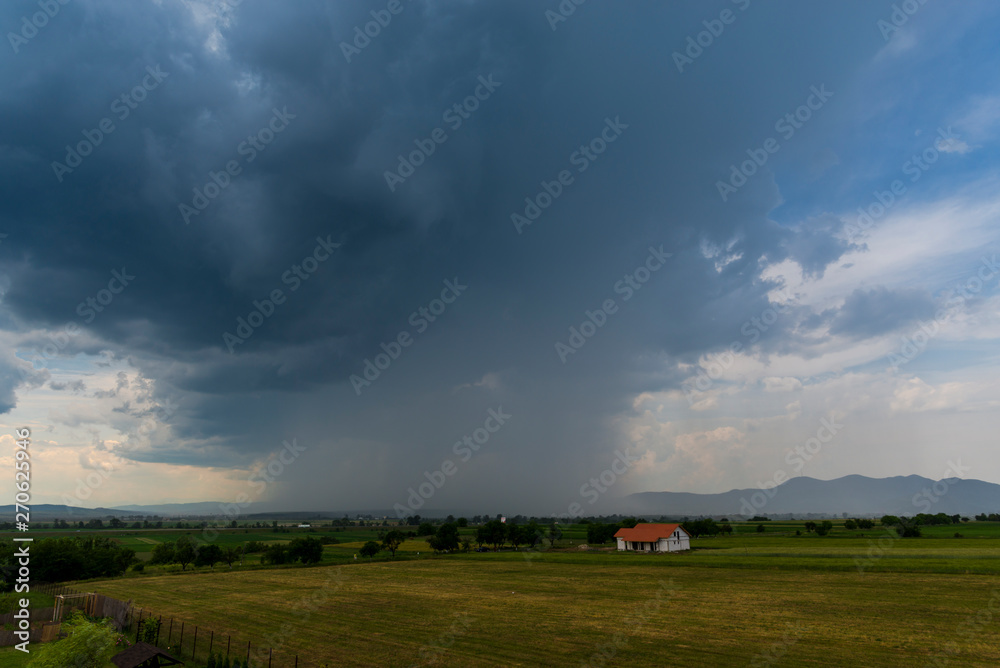 Naklejka premium Summer landscape