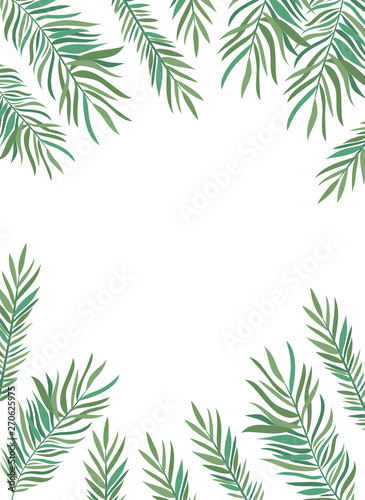 pattern of branch with leaf of summer in white background