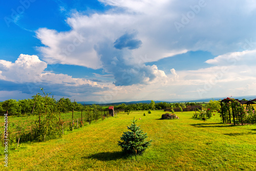 Summer landscape