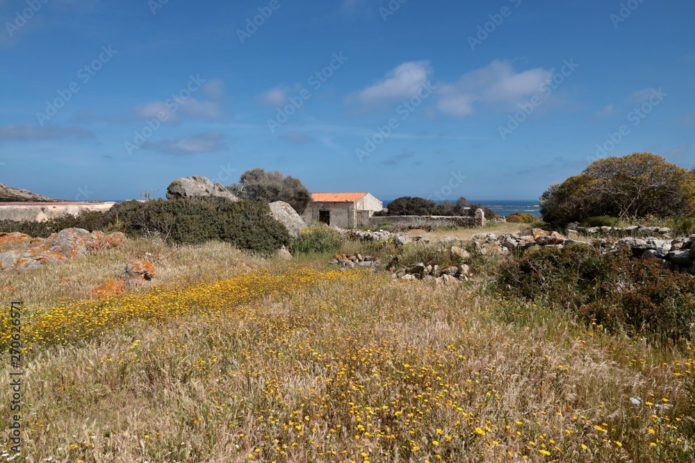 Zona Tamburino Asinara