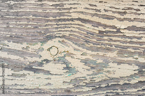 texture of rustic white painted wood