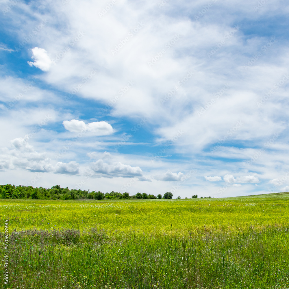 Tranquil scenic view of green grass field and white cloudy sky Tranquil scenic view of green grass field and white cloudy sky