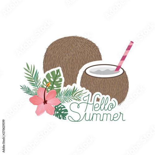 hello summer label with coconut icon