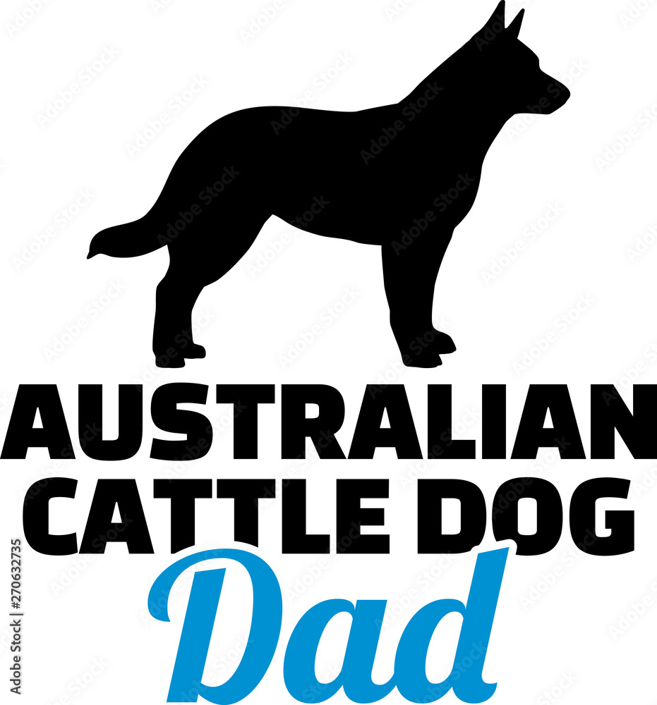 Australian Cattle Dog Dad blue