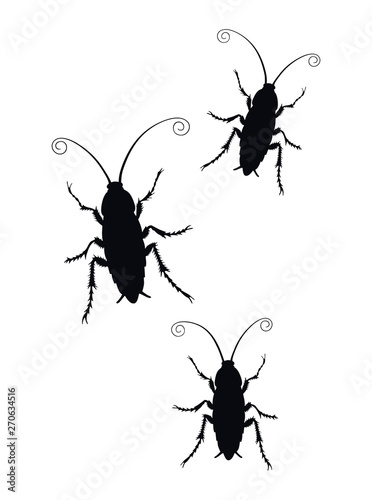 Set of Cockroach silhouette icon isolated on white background. Vector image. Illustration of insect symbol, beauty © iuliiawhite