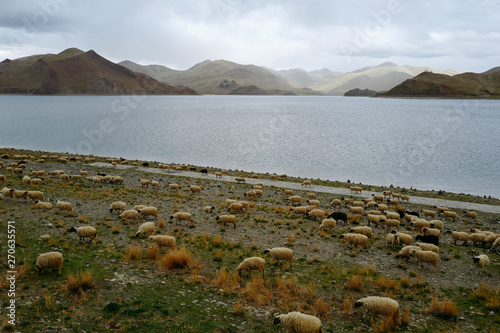 Yamdrok Lake In Tibet,China photo