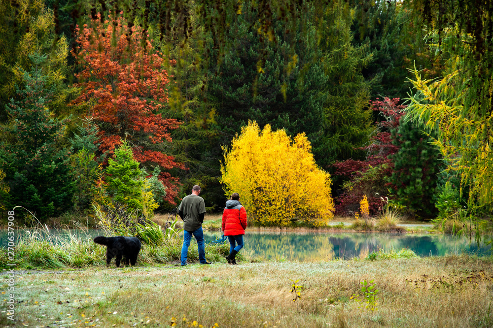 Fototapeta premium Young man and woman on a relax walking with black dog in beautiful autumn nature colorful leaves green trees background in the fresh morning.